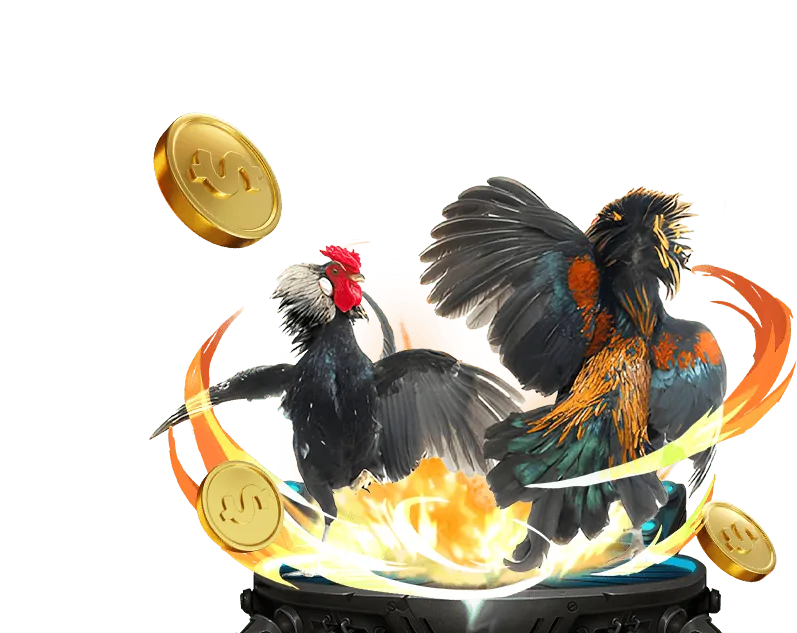 Hướng dẫn cá cược thể thao King69